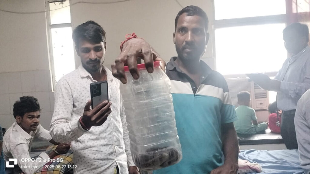 डब्बे में जिंदा सर्प