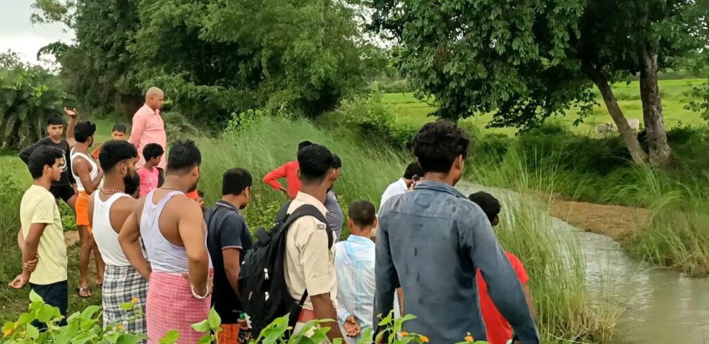 बछड़े का चमड़ा और सिर मिला
