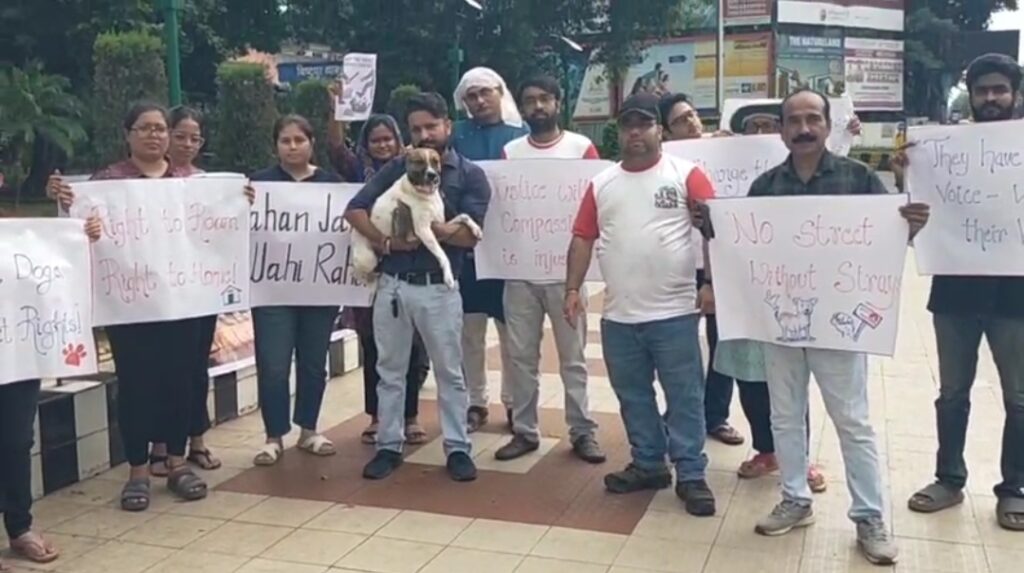 सड़कों पर उतरे कुत्ता प्रेमी