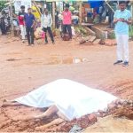 तीन पशुओं की मौत