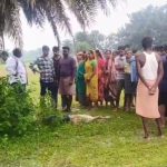 पति की हत्या