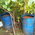 अवैध शराब