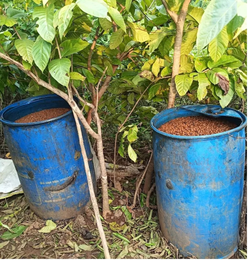 अवैध शराब