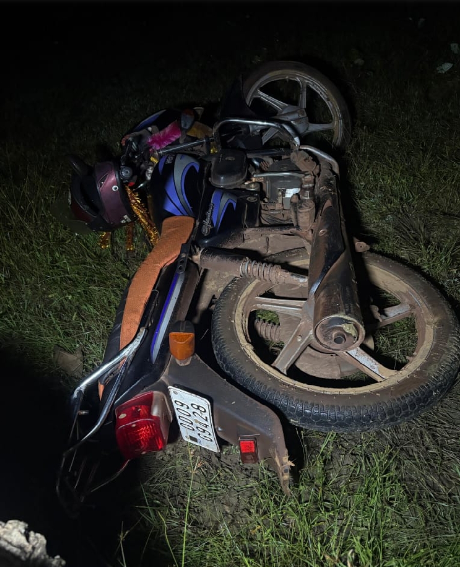 हाथी ने किया हमला