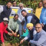 झारखंड के स्थापना दिवस पर चेंबर ने चलाया वृहद् पौधारोपण अभियान 01