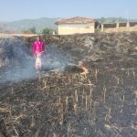 फसल जलकर खाक