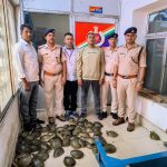 जीवित कछुए बरामद