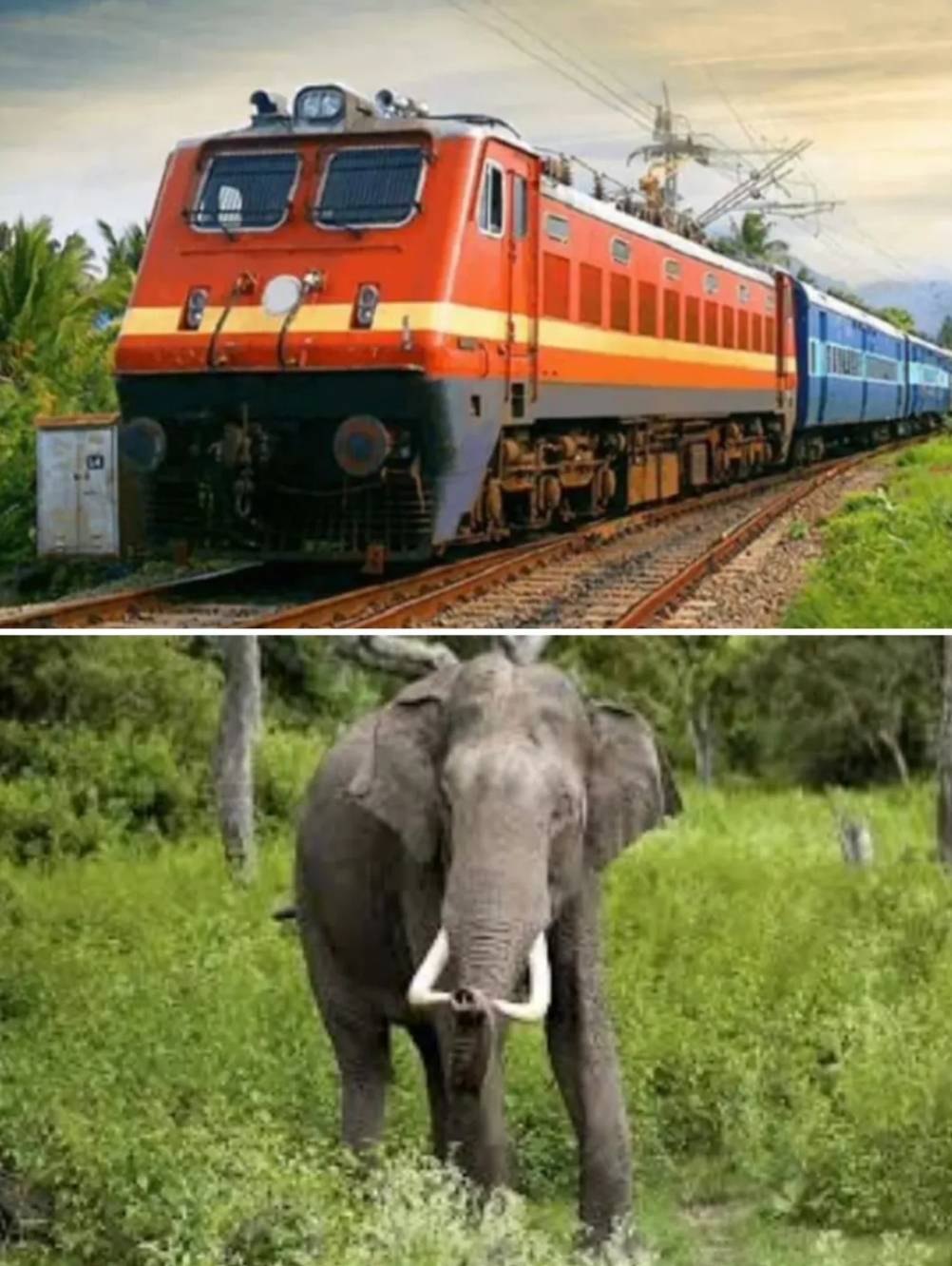 रेल सेवाएं