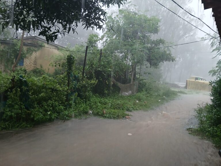 हल्की बारिश की संभावना