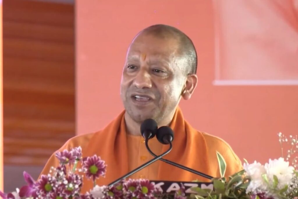 yogi