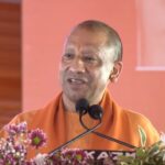 yogi