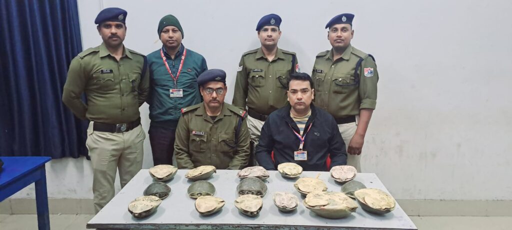 जीवित कछुए