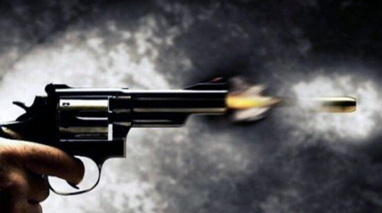 मारी गोली