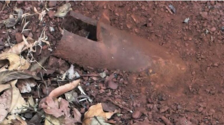 सड़क किनारे मिला आईईडी