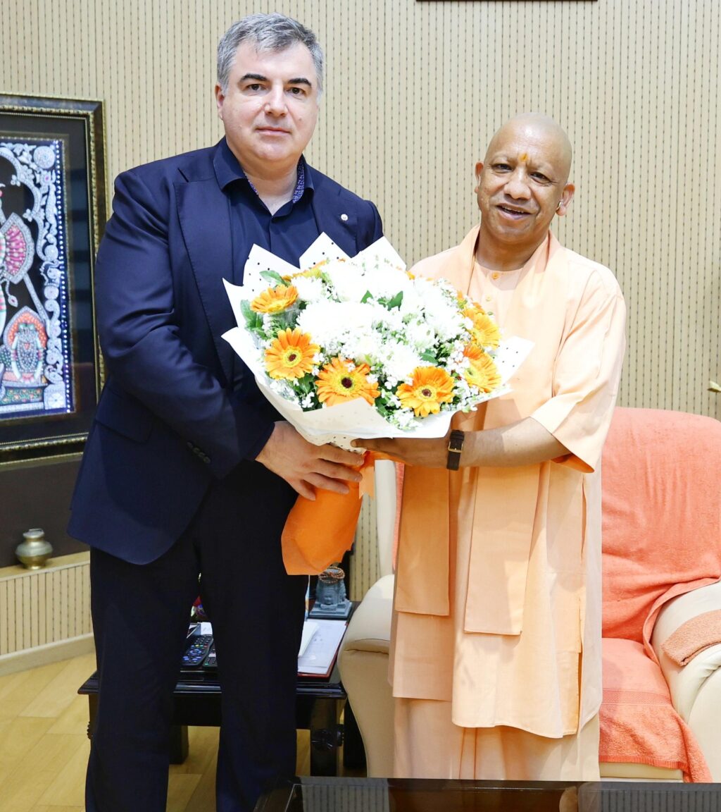yogi