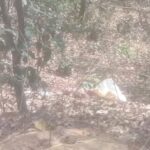 अज्ञात महिला का शव बरामद