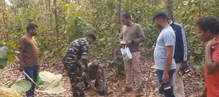 बीमार जंगली हाथी का इलाज