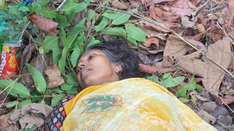 महिला को हाथी ने कुचलकर मारा