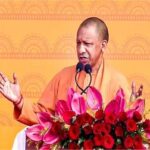 yogi