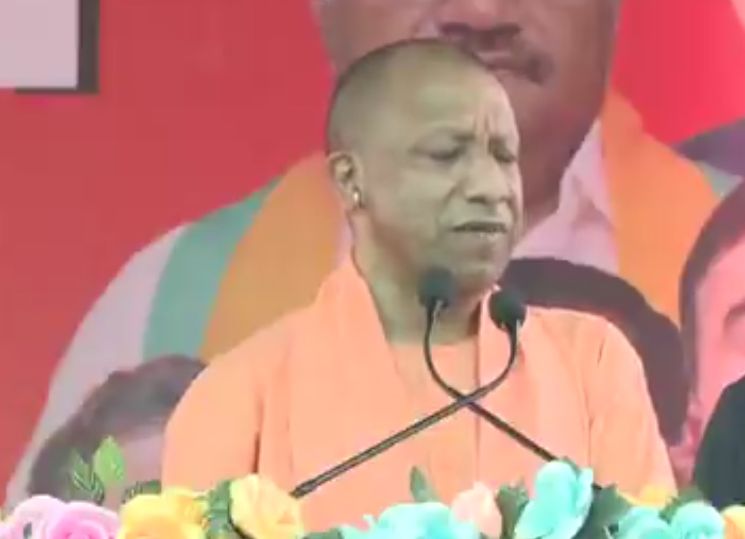 yogi