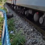 ट्रेन की चपेट में आने से तीन मवेशियों की मौत