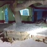 Oplus_16908288