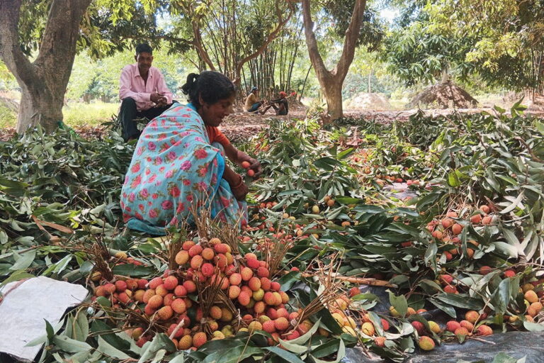 bihar