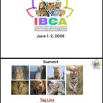 ibca