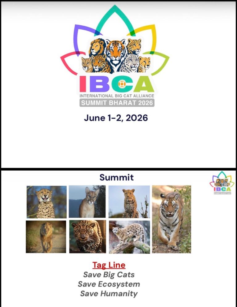 ibca