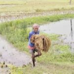 uttar