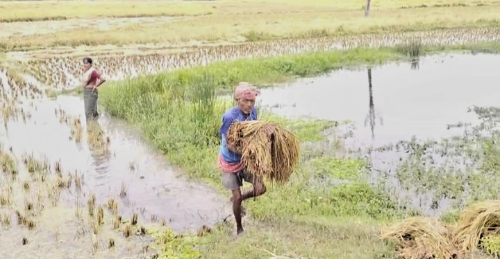 uttar