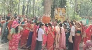 बट सावित्री व्रत