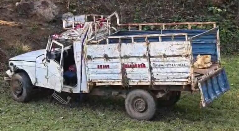 बारातियों से भरी पिकअप पलटी