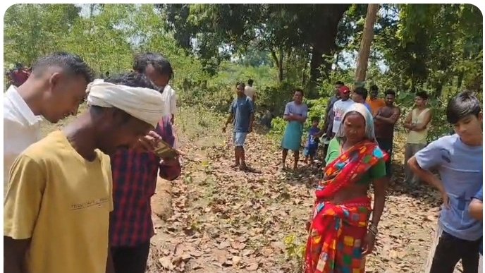 हाथी के हमले में किसान की मौत