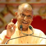 yogi