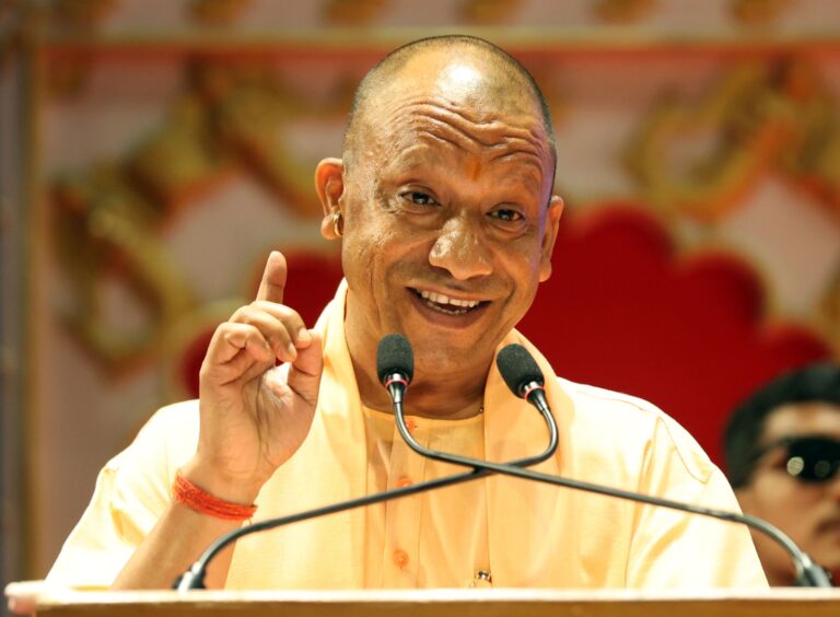 yogi