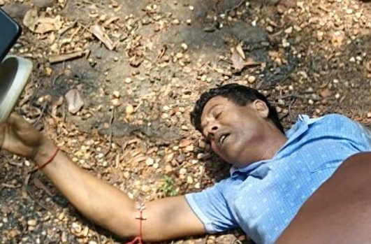 जंगली हाथियों के हमले से रेलवे लाइनमैन घायल