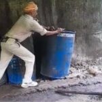 जावा महुआ नष्ट