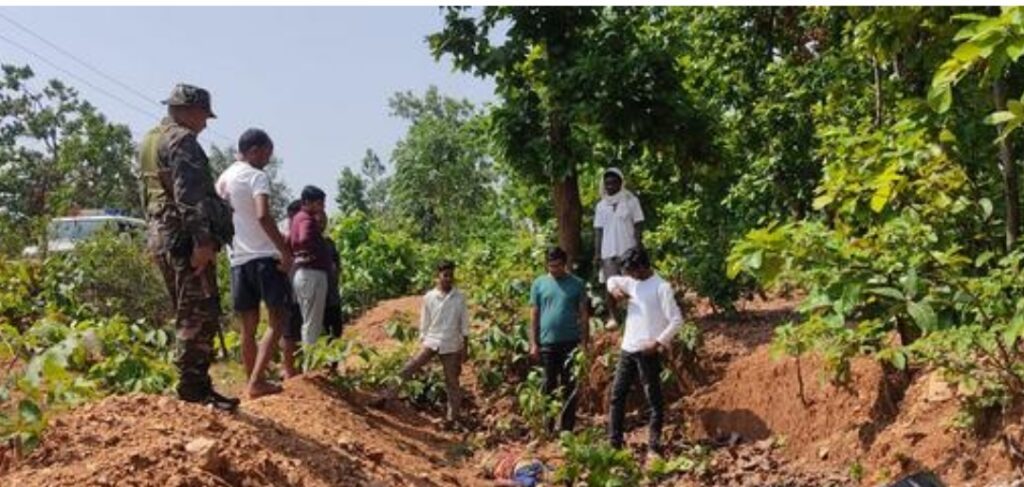 ताम्बा जंगल