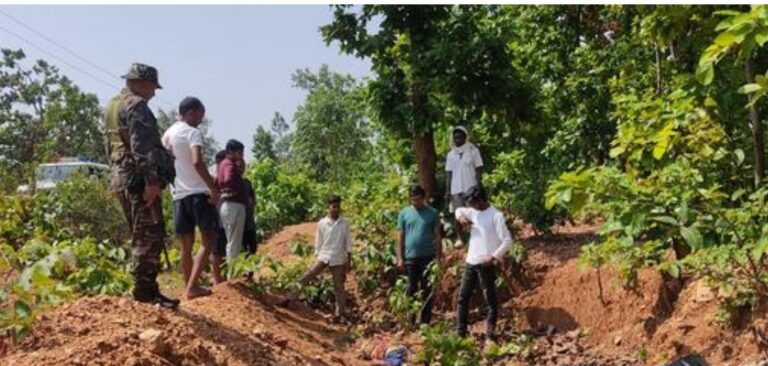ताम्बा जंगल