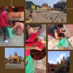 मंदिरों के मुरझाए फूलों ने बदली महिलाओं की तकदीर
