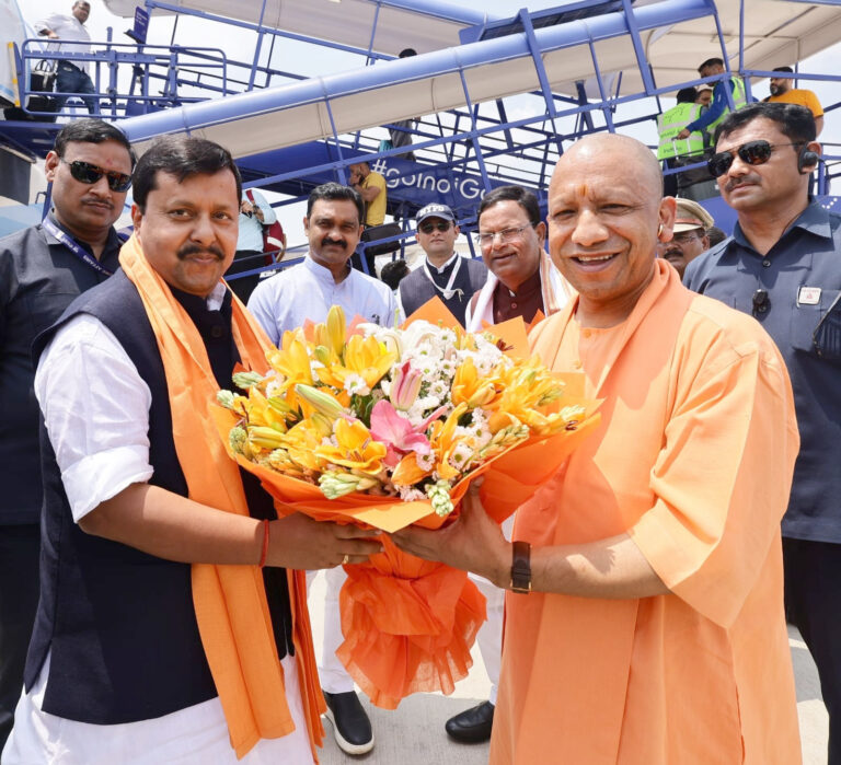 yogi