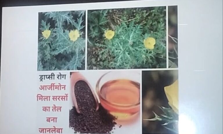 आर्जीमोन मिला सरसो का तेल