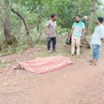 कबाड़ी व्यवसायी की हत्या
