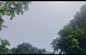 पश्चिम बंगाल में सक्रिय मानसून 01