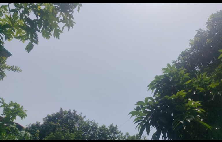 पश्चिम बंगाल में सक्रिय मानसून 01