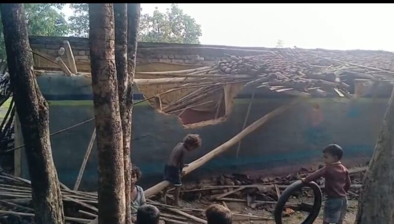 हाथियों ने कई घर तोड़े
