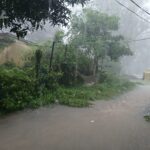 barish
