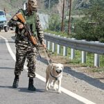 jammu