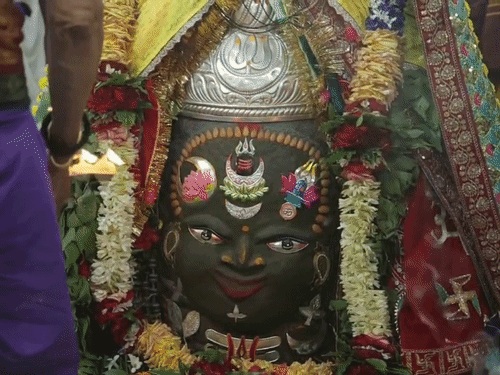 ,maha